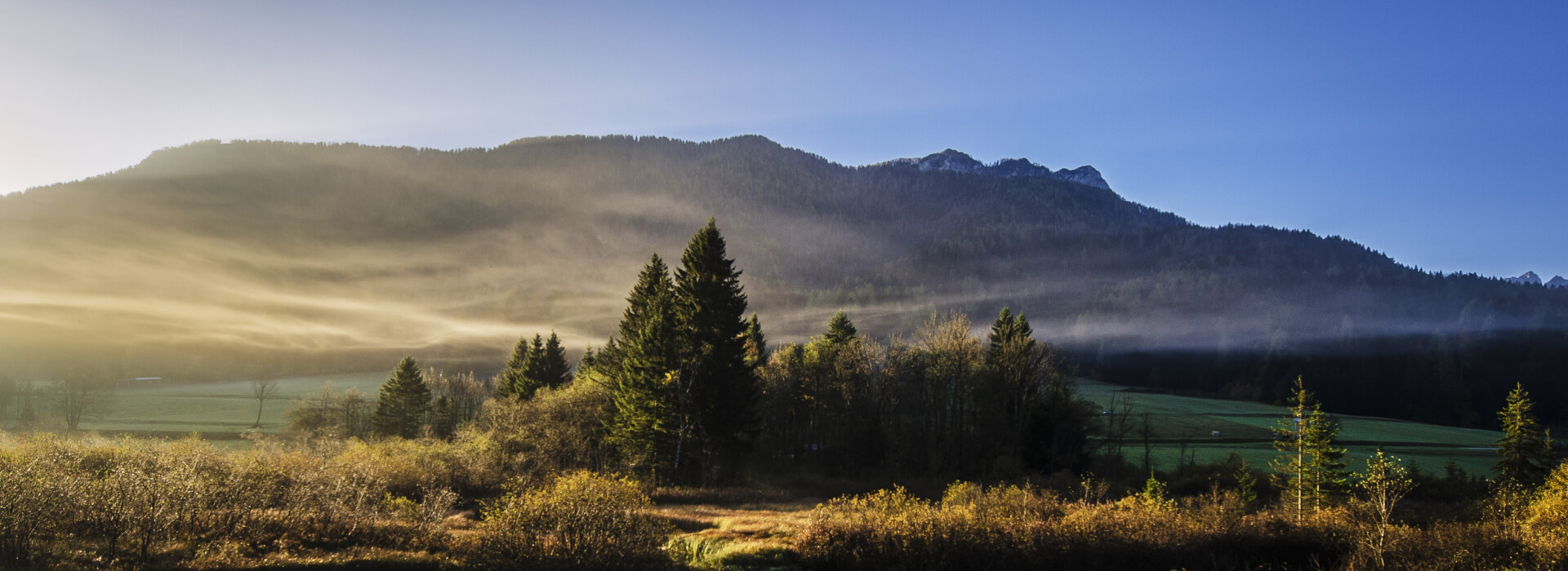 Sarah Mitchell - Fashion Boutique